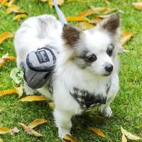 Bolsa de Premios para Perros Portátil Multifuncional Bolsa de Almentos para Mascotas Duradera para Viajes al Aire Libre - details 9