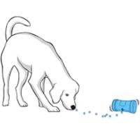 Juguete automático para perros de leckerli, juguete activo para perros