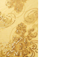 Gasa de seda plateada, chal de diamantes, vestido de noche nupcial, chal de fiesta Cheongsam, prendas de vestir exteriores para mujer - details 4