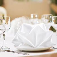 Servilletas de tela de poliéster, servilletas de tela lavables para cena con bordes doblados, para fiestas, bodas y vacaciones, paquete de 12 - details 3