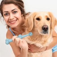 Nuevo cepillo de dientes para mascotas, cepillo de dientes de limpieza bucal para perros y gatos, limpieza anticálculo, suministros para mascotas - details 1