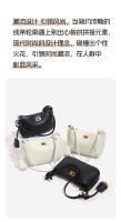 Bolso de mujer nuevo, bolso de mensajero, bolso de mujer de alta gama, ligero, atmosférico, de lujo, bolso de axila. - details 1