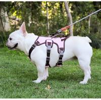 Correa Reflectante de Nylon para Perros Chaleco Oxford con Ventilación 3D, U-Collar Antiasfixia, Correa Ajustable 1.5m, Tallas M-L (Hasta 22kg) - details 13
