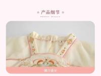 Chicas de rendimiento, conjunto de estudiantes de escuela primaria, disfraz de actuación de estilo antiguo chino para niños, disfraz Tang, Hanfu, OEM - details 4