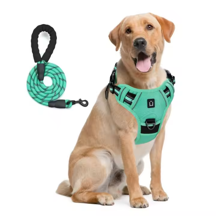 Combo de Perro y Correa, arnés de Chaleco no extensible a prueba de escape, de 5 pies Correa Con, ARN - 1