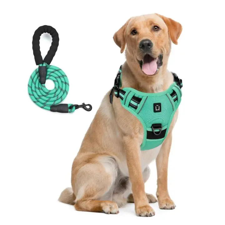 Combo de Perro y Correa, arnés de Chaleco no extensible a prueba de escape, de 5 pies Correa Con, ARN - 1