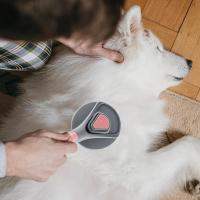 Cepillo de Aseo para Mascotas Suave Herramienta de Eliminación de Pelo Suelto - details 4