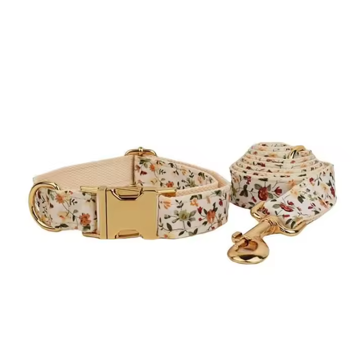 Conjunto Correa Perro, Collar con nombre personalizado Perros Pequeños y medianos, Placa Identificación personalizada, arnés - 1