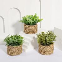 Plantas Artificiales de Eucalipto Pila de Césped Tejida de 11cm Material PE Decoración del Hogar - details 13