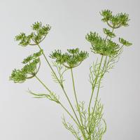 Rama de flores artificiales de encaje de 5 cabezas, elegantes y hermosas flores falsas de seda, plantas verdes simuladas de plástico, decoración para el hogar y la Oficina - details 3