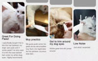 Recortador de patas de perro para el cuidado, cortapelos eléctrico inalámbrico para mascotas pequeñas, cortapelos para perros y gatos, poco ruido para recortar el pelo de las mascotas alrededor de las patas, ojos, orejas, cara, parte trasera - details 2