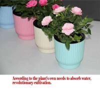 Flor perezosa de color autoabsorbente ETA de resina circular personalizada con plantas verdes, patrón vertical, ETA de escritorio rosa, 1 UD. - details 3