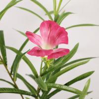 Ramas artificiales de gloria de la mañana de 100cm, hermosas flores de oleandro de simulación de tacto Real, flor falsa elegante hecha a mano - details 9