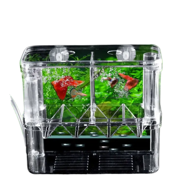 Caja de aislamiento acrílica para cría de peces, incubadora transparente de doble cubierta para acuario, con ventosa, placa de aislamiento móvil - 1