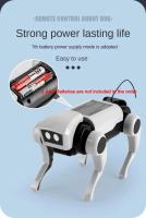 Los niños de control remoto juguetes mecánicos perro Ciencia enseñanza DIY montaje modelo traje eléctrico Niños regalos para niños - details 6