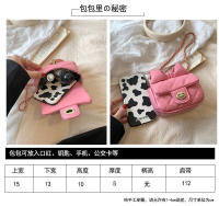 Mini bolso de gama alta para mujer, novedad de verano, bolso de hombro tipo bandolera de nicho, bolso pequeño bonito superventas para mujer - details 2