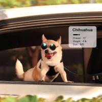 Correa de Tiro de Cuero PU para Perros Conjunto de Correa de Pecho para Gatos, Longitud de 5 Pies, Chaleco para Caminar - details 18