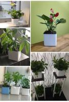 Maceta de plástico cuadrada blanca para jardín, interior, hogar, oficina, planta de autorriego - details 3