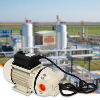 Bomba de Diagrama 230 V Autocebante, 34 l/min, Conexiones, Bomba de Agua - details 10