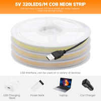 GAHADA Tira de LED COB Neón con Interruptor de Sensor PIR 320LEDs/m, Impermeable IP67, Gel de Sílice - details 6