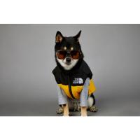 Chubasquero cálido de invierno para perros grandes, ropa de algodón para mascotas, abrigo a prueba de viento y lluvia - details 8