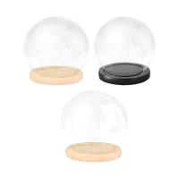 Cúpula de vidrio transparente con Base de madera, estuche de exposición para casa de muñecas, ración de campana, pedestales, soporte para micropaisaje - details 0