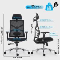 Silla de Oficina Ergonómica Resalto Alto con Reposabrazos 4D, Altura Ajustable, Soporte Lumbar y Reposacabezas 2D - details 9
