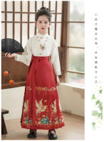 Falda con cara de caballo para niña, conjunto modificado Hanfu, disfraz antiguo Ming Tang de estilo chino para niña, verano para niños - details 11