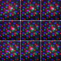 ESHINY 60 Patterns Battery DJ Disco Light Party R&G Laser Projector RGB LED Magic Ball Bar Dance Room Stage Effect Lamp USB F2N6 - details 14