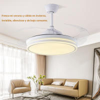 Equipado con motor e iluminación LED de 72W, con memoria e intensidad de iluminación regulable (luz nocturna), silencioso y eficiente -incluso múltiples distancias- entradas a dormitorios y habitaciones. - details 12