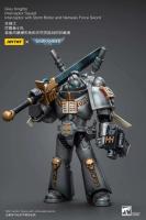 JOYTOY 40k 1/18 figuras de acción Anime 12cm caballeros grises Interceptor Strike Squad juguetes de modelos de colección - details 16