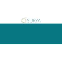 Historia de la marca Surya