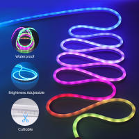 GAHADA Tuya Neon LED Tira Luz 12V WS2811 Tela LED de 60LEDs/m Controlador WiFi Kit de Potencia Europeo - details 11