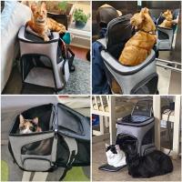 Mochila transportadora transpirable para gatos, bolsa de viaje plegable para transporte de mascotas, expandible, gran capacidad, creativa para gatos y perros - details 5