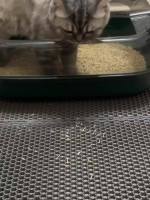 Tapete de atrapamiento de arena para gatos de doble capa en forma de panal de abeja, antideslizante y lavable, para la limpieza - details 18