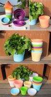 Flor interior decorativa para el hogar para plantas, macetas de plástico para jardín, venta al por mayor - details 4