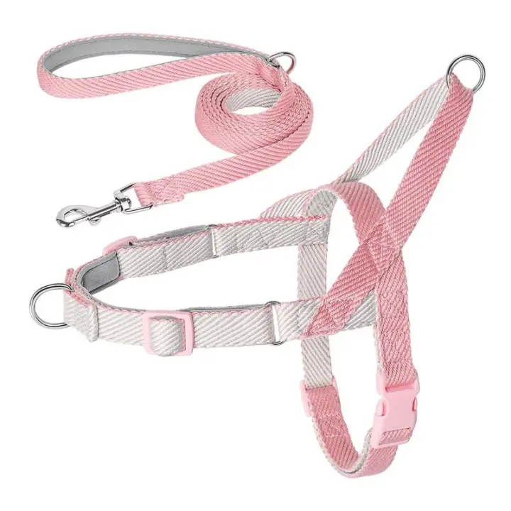 Conjunto arnés de nailon perro, correa sin tirones cachorros, chaleco mascotas con plomo caminar, ustable para perros pequeños y - 1