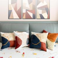 45x45 cm Sofa Covers, Set of 4 Velvet Decorative Cushions with Invisible  (Modern) - details 3