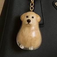 Caja de almacenamiento de pelo de perro con forma de perro de dibujos animados, llavero transparente hecho a mano para el pelo de mascotas, cuidado del cabello, colgantes para cachorros, mochila - details 2