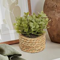 Plantas Artificiales de Eucalipto Pila de Césped Tejida de 11cm Material PE Decoración del Hogar - details 0