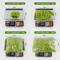 Musgo eterno, manualidades DIY, hierba, 20/40/100g, plantas verdes artificiales, decoración del hogar, habitación, jardín, mini país, hierba falsa - details 2