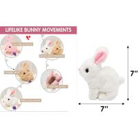 bunny realistic bunny