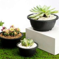 ETA de plástico para plántulas, plantas suculentas, recipiente de 165x74cm, decoración de escritorio, 6 piezas. - details 1