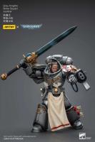 JOYTOY 40k 1/18 figuras de acción Anime 12cm caballeros grises Interceptor Strike Squad juguetes de modelos de colección - details 28