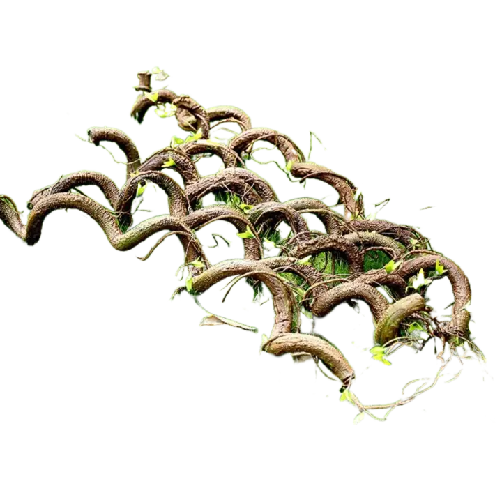 Ramas de árbol artificiales simuladas, enredaderas trepadoras ecológicas reutilizables, plantas colgantes falsas largas y flexibles, accesorios de fotografía - 1