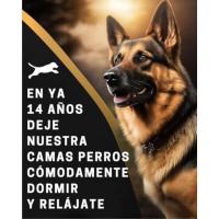 BedDog Zara - Cama para Perro con Funda Extraíble y Lavable, Sofá para Perros Mediano XL - details 2