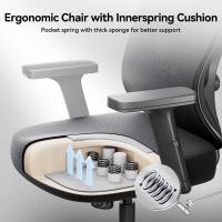 P5 Silla de Oficina ergonómica con Soporte Lumbar Ajustable, cojín elástico Transpirable, reposabrazos Ajustables y reposacabezas, Reposapiés Integrado, Negro - details 2