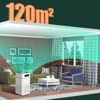 Purificador de aire con filtro Hepa, generador de iones negativos, eliminador de olor a humo, formaldehído, para habitación de coche y cocina - details 10