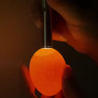 Incubadora, probador de huevos, lámpara LED para velas, equipo súper frío, Mini llavero de acero inoxidable, linterna para incubación de aves de corral, 1 unidad - details 3