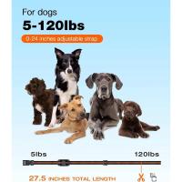 Collar de entrenamiento remoto para perros, 1000M, IP67 resistente al agua, resistente a las vibraciones, entrenador de mascotas recargable, tope antiladridos para 2 perros - details 6